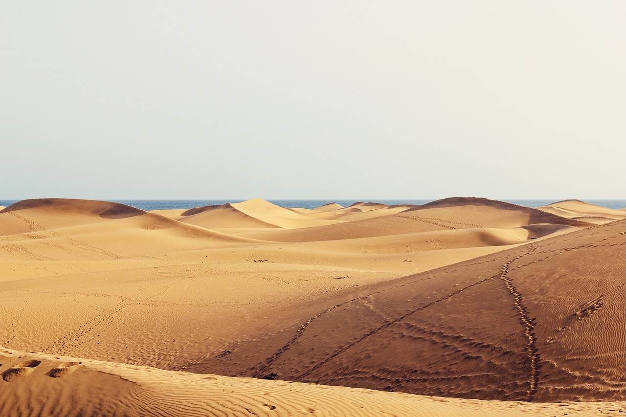 Esplorazione Magica di Gran Canaria e Fuerteventura